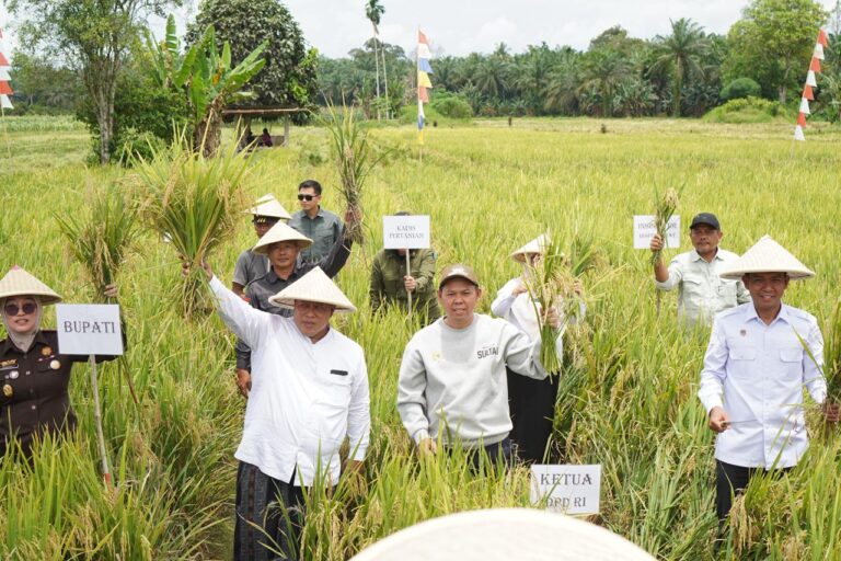 Sultan B. Najamudin Tegaskan Komitmen Ketahanan Pangan Lewat Program “Senator Peduli Pangan” di Mukomuko