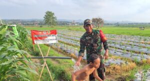 Di Tengah Sawah Desa Godo, Sertu Arifin Hadirkan Sumber Air untuk Petani
