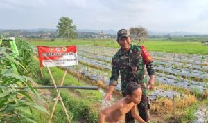 Di Tengah Sawah Desa Godo, Sertu Arifin Hadirkan Sumber Air untuk Petani